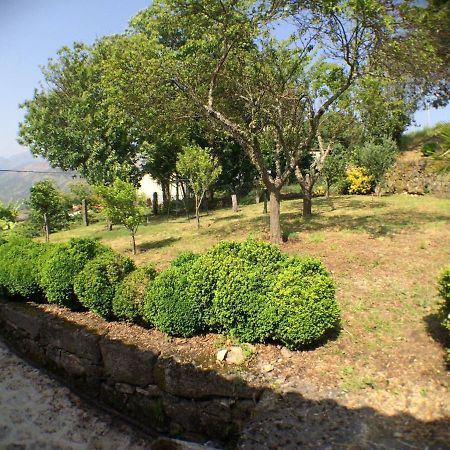 Вілла Casa Do Assento - Castelo Понте-да-Барка Екстер'єр фото